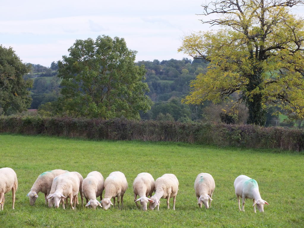 Le Bourg L'Oustal De Peiroヴィラ 部屋 写真